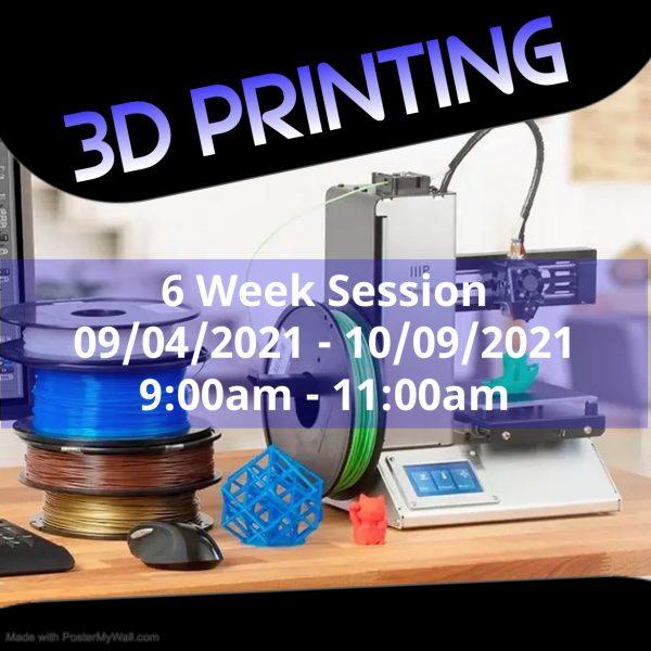 3D printing STEM class