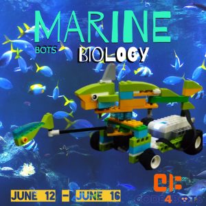 Marine Biology Summer Camp