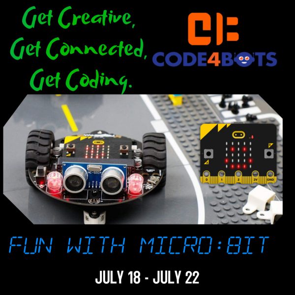 Micro:bit Summer Camp