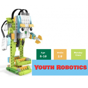 Youth Robotics