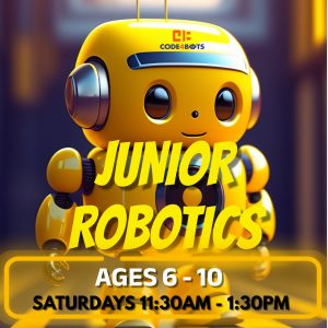 Junior Robotics - Intro to AI